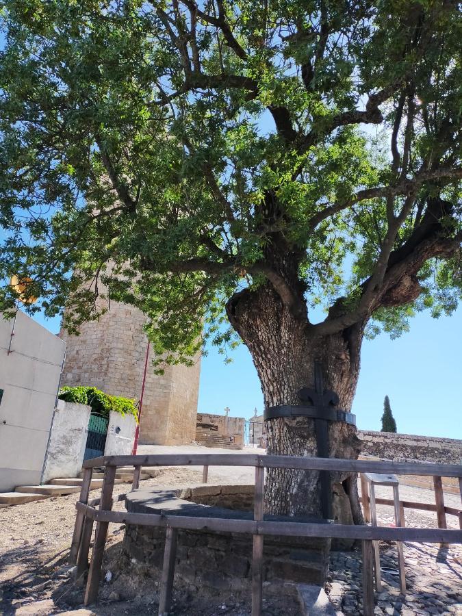 Casa Do Conselheiro Villa Freixo de Espada à Cinta Esterno foto